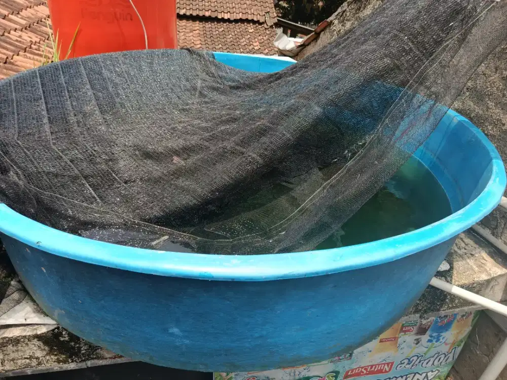 Bak fiberglass kolam ikan