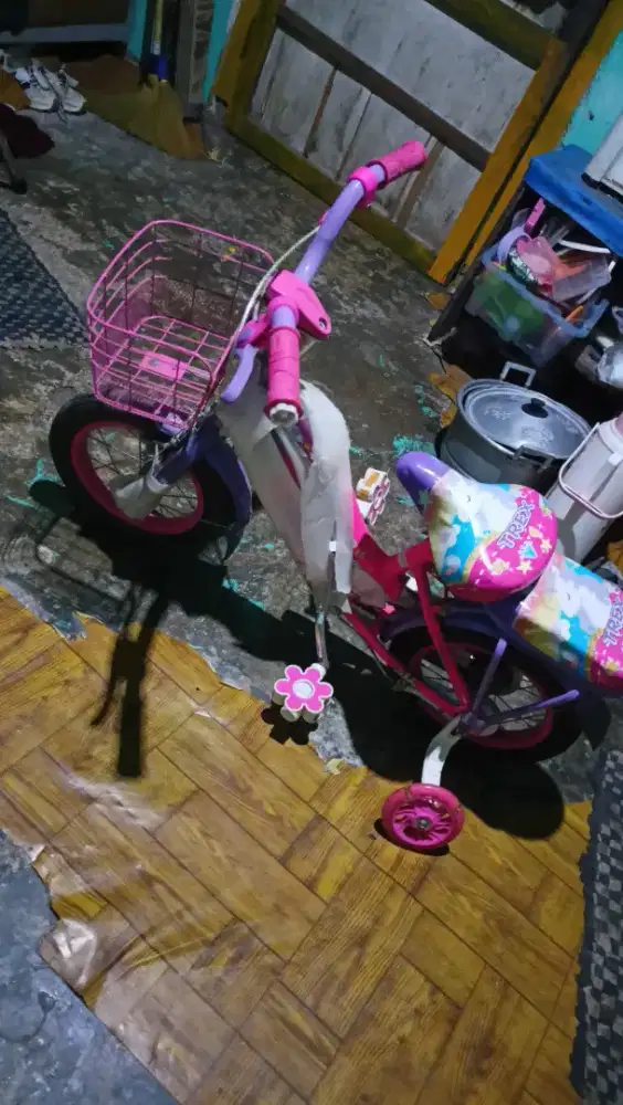 Sepeda Anak Pink