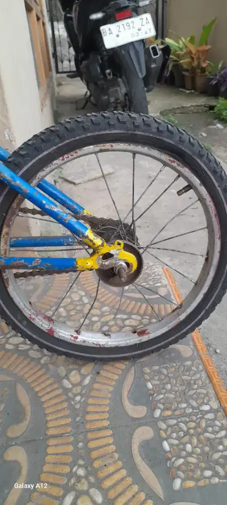 Sepeda anak ada minus