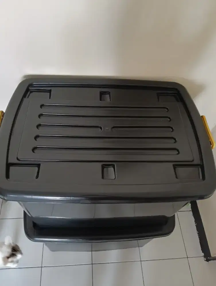 Contener box serbaguna