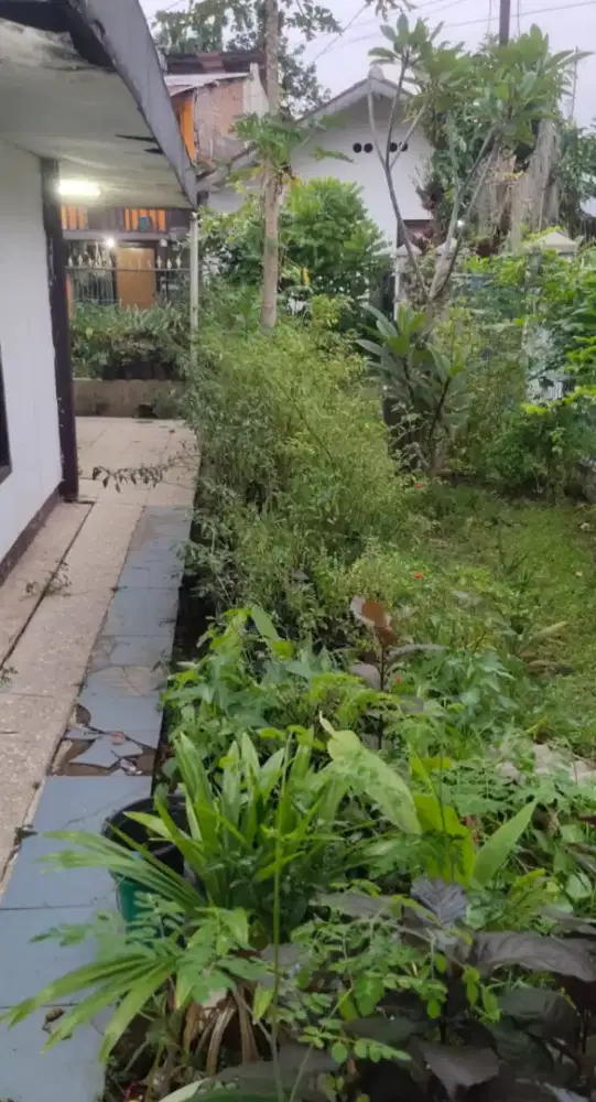 Jual Rumah Lama Di Brigjen Katamso Di Bawah NJOP