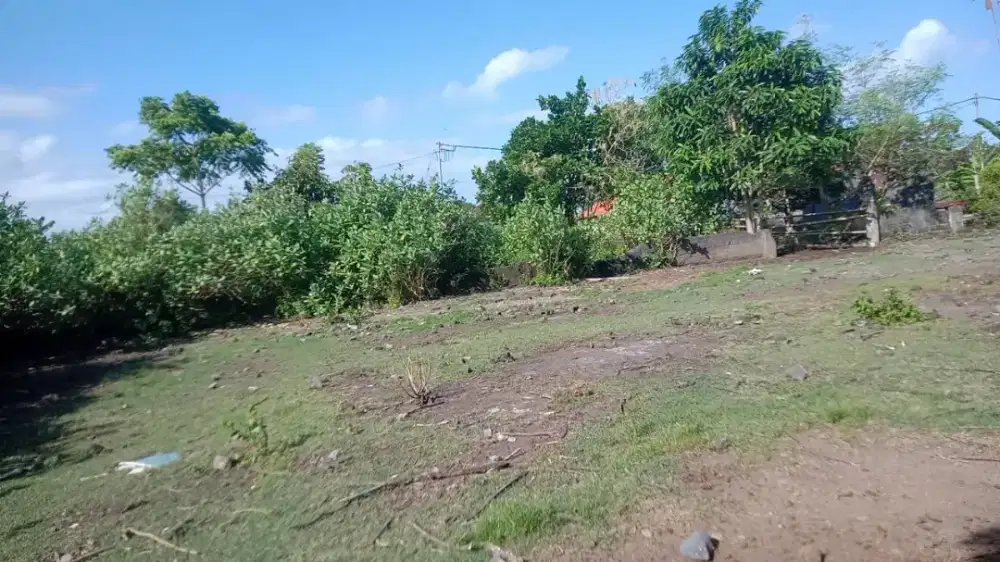 Di sewakan tanah berlokasi strategis di denpasr utara
