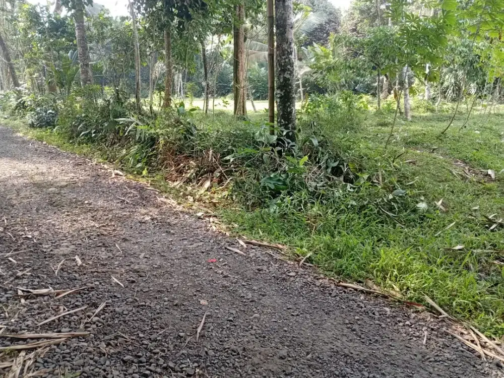 Jual tanah dekat smk kutasari purbalingga