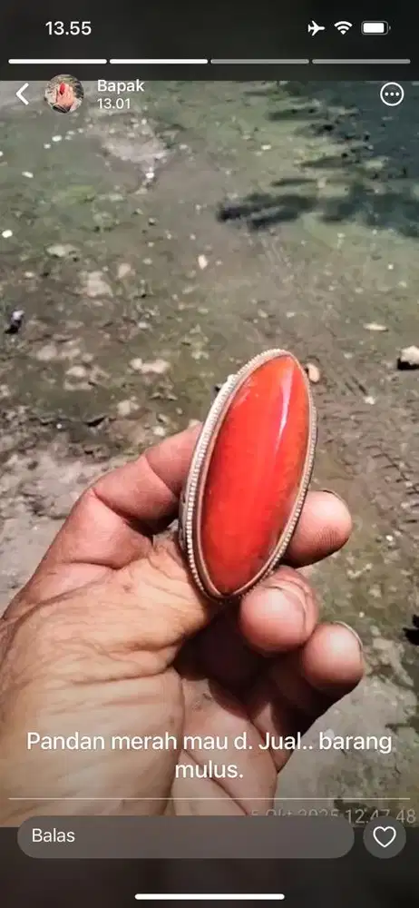 Batu cincin pandan mulus