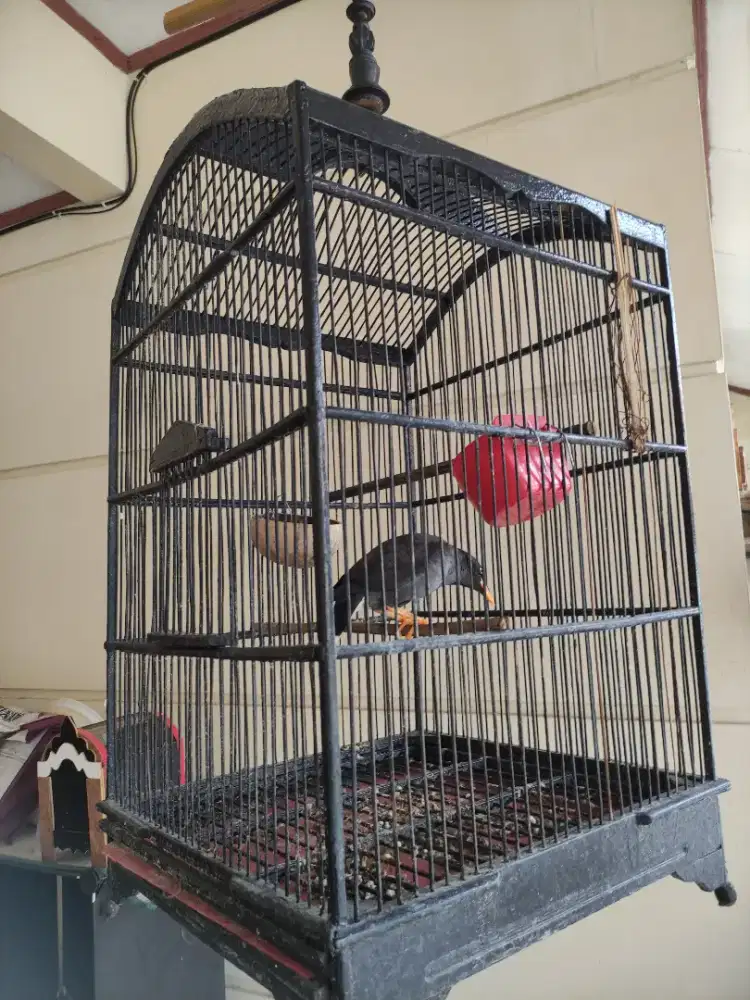 JUAL KANDANG TANPA BURUNG