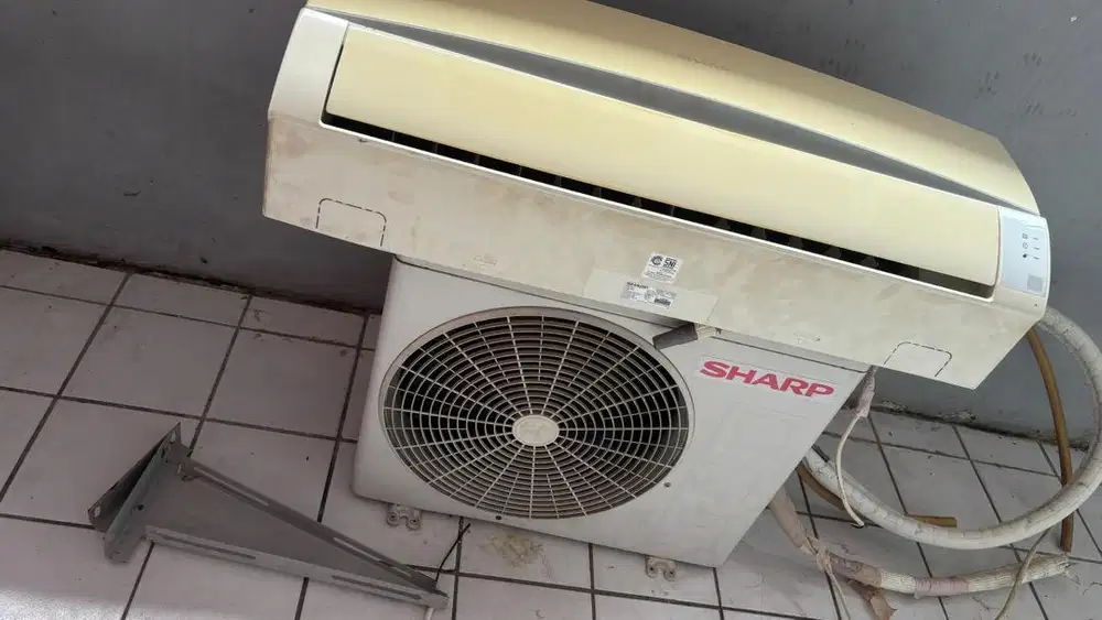 Ac sharp 1/2 pk