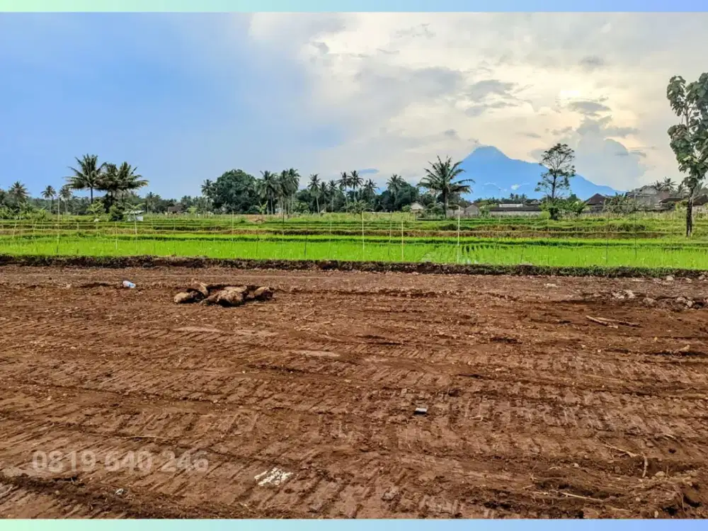 Pinggir Sawah Tanah Jalan Palagan View Gunug