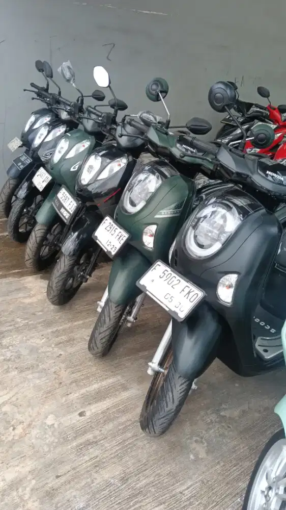 D jual murah Honda Scoopy