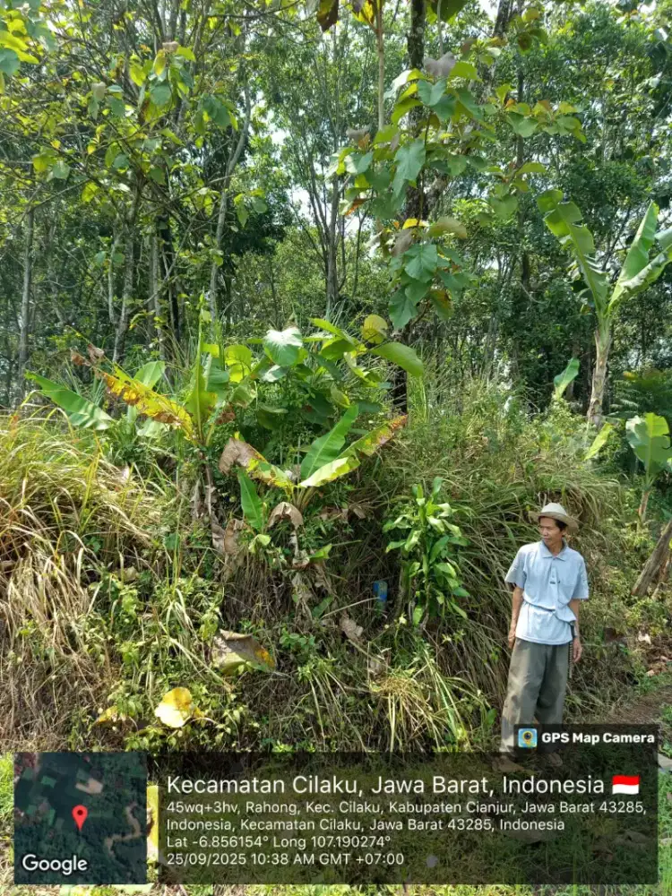 Dijual sebidang tanah dan tanam tumbuhnnya