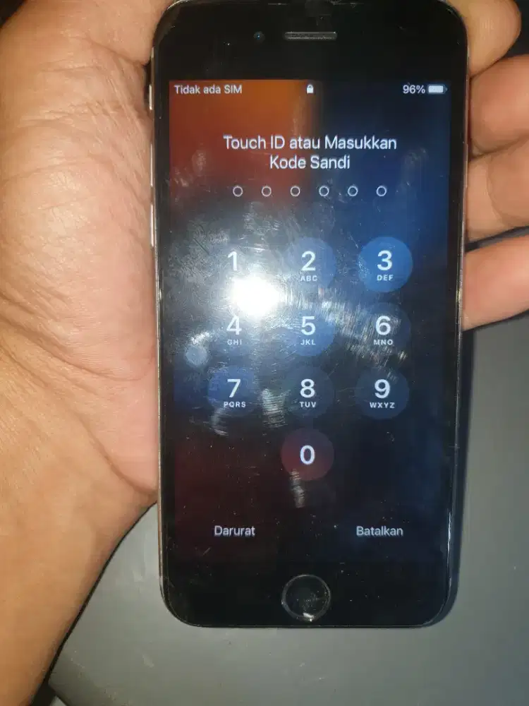 Apple 6 s normal