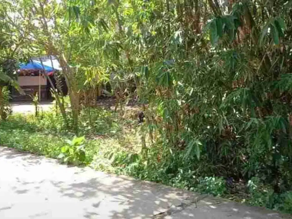 Dijual tanah di  desa DangDang Cisauk  Jl Raya Dekat BSD