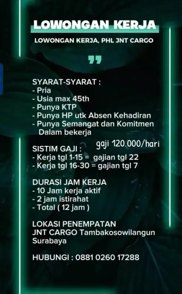 Di butuhkan  freelance untuk bekerja di JNT cargo tambakosowilangun