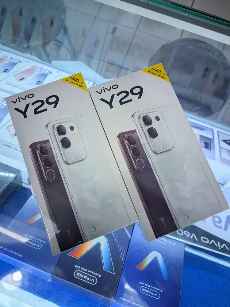 VIVO Y29 6/128 BARU JR/BS