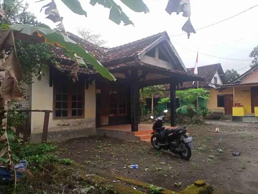 Tanah bonus Rumah kampung,, MURAH, BU kepepet bank di Sardonoharjo barat kampus UII, RS PANTI NUGROHO, Pondok PANDANARAN