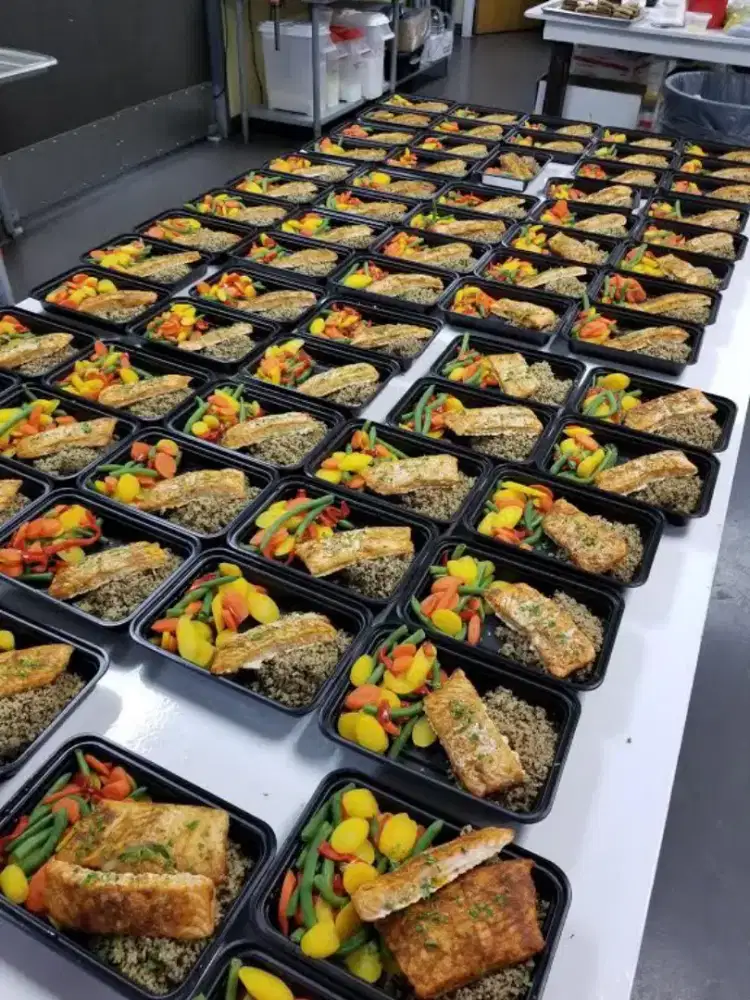 Catering menu diet sehat