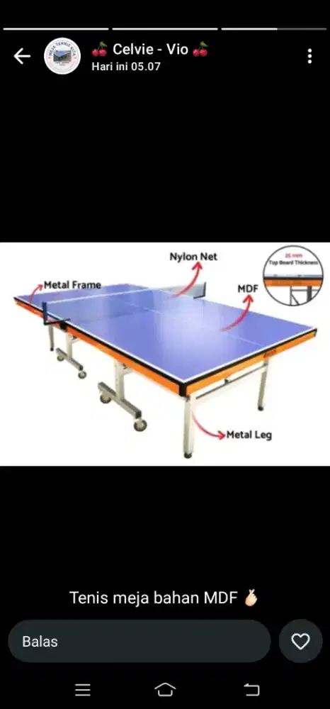 Tenis meja baru SNI wa