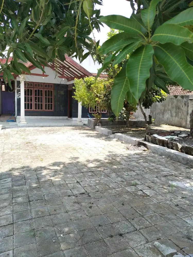 Jual tanpa perantara tanah dan bangunan (SHM)