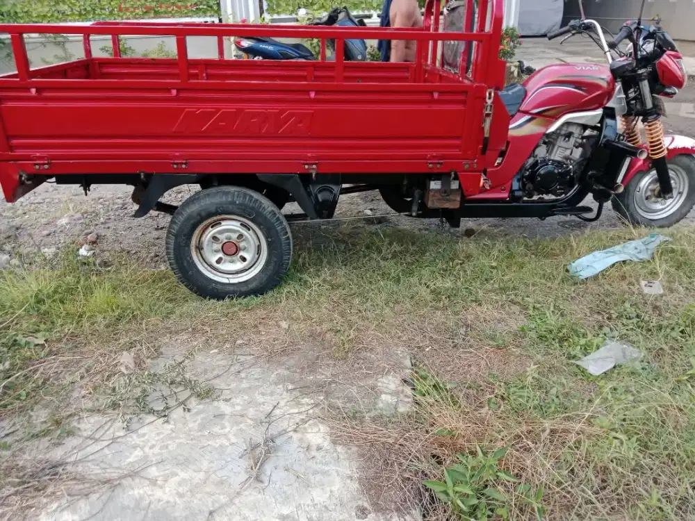 Viar 200 long 2019