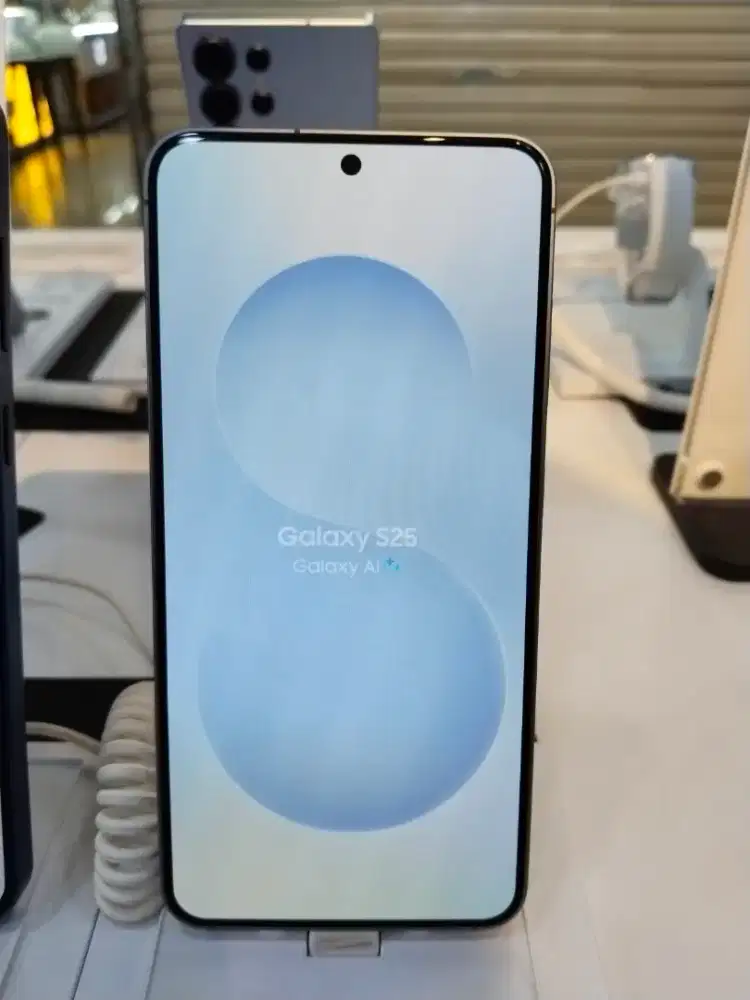 Samsung Galaxy S25 256GB