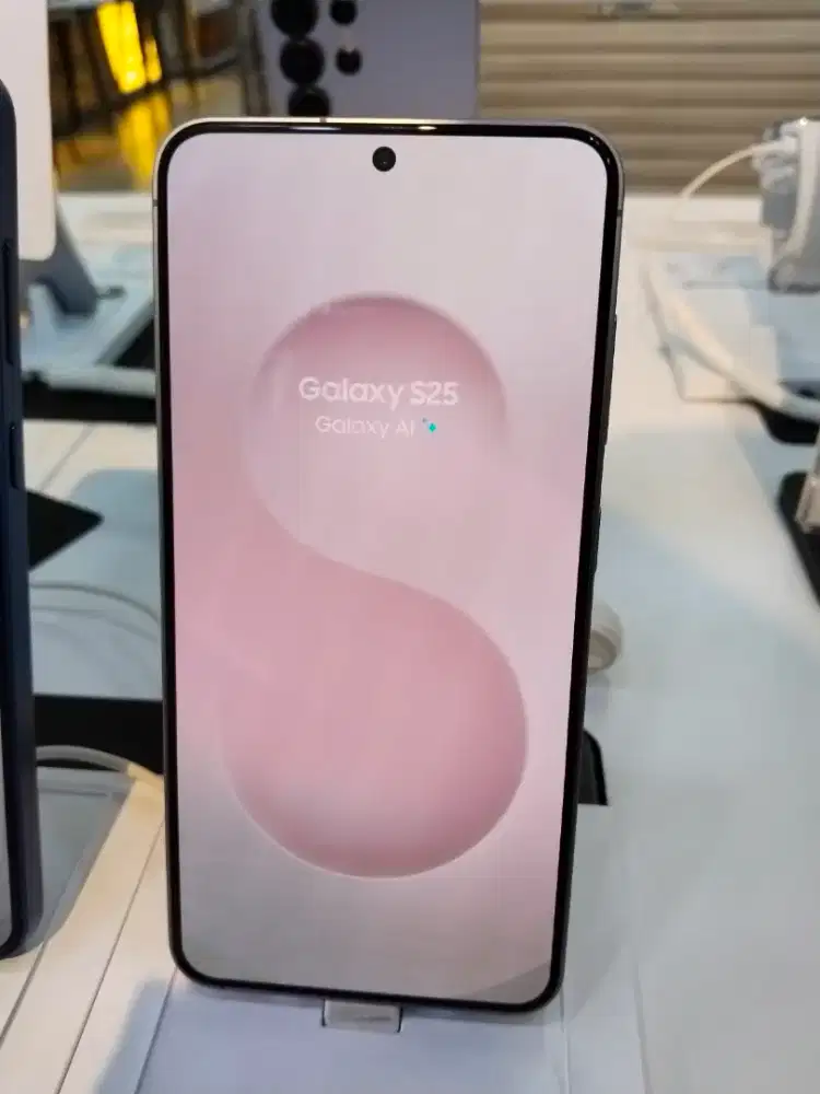 Samsung Galaxy S25 512GB