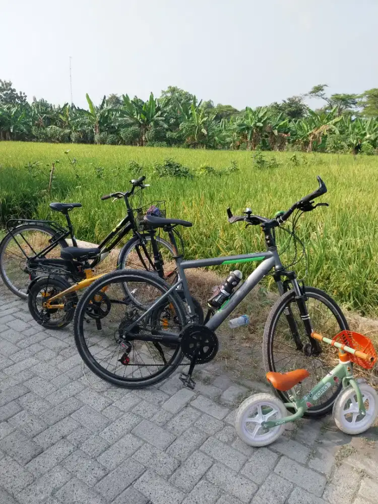 Sepeda MTB Toronto
