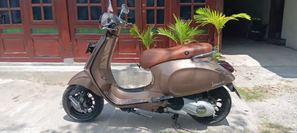 Vespa primavera 2015