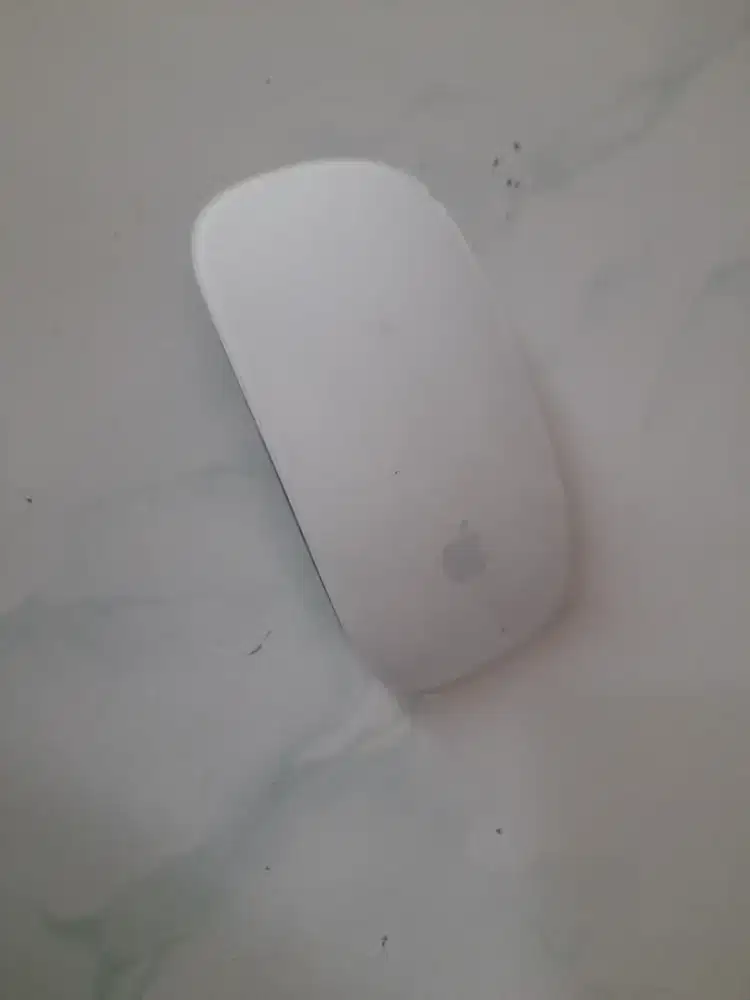 Magic Mouse Wireless Apple