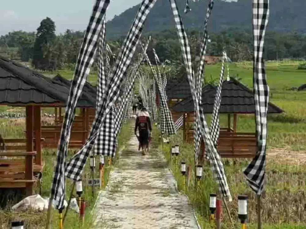 tanah kavling sawah murah eksklusif legalitas SHM View pegunungan yang indah dan estetik
