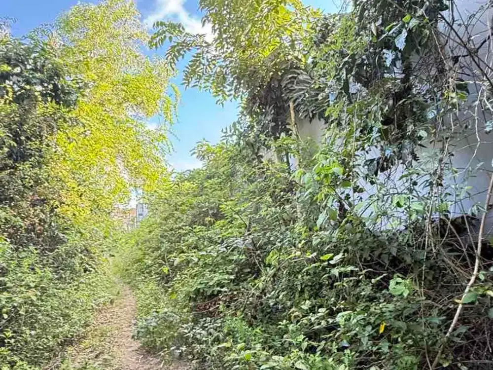 Dijual Murah Tanah Di Jl Melangkaja Kutuh Bali