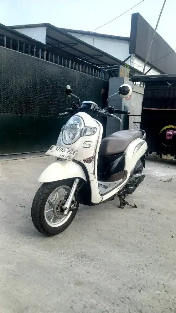 Honda scoopy donat cbs thn 2018
