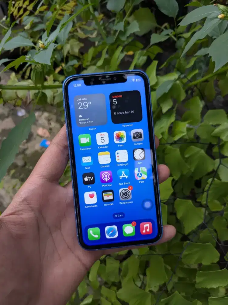 iPhone X 256GB iBox Custom housing