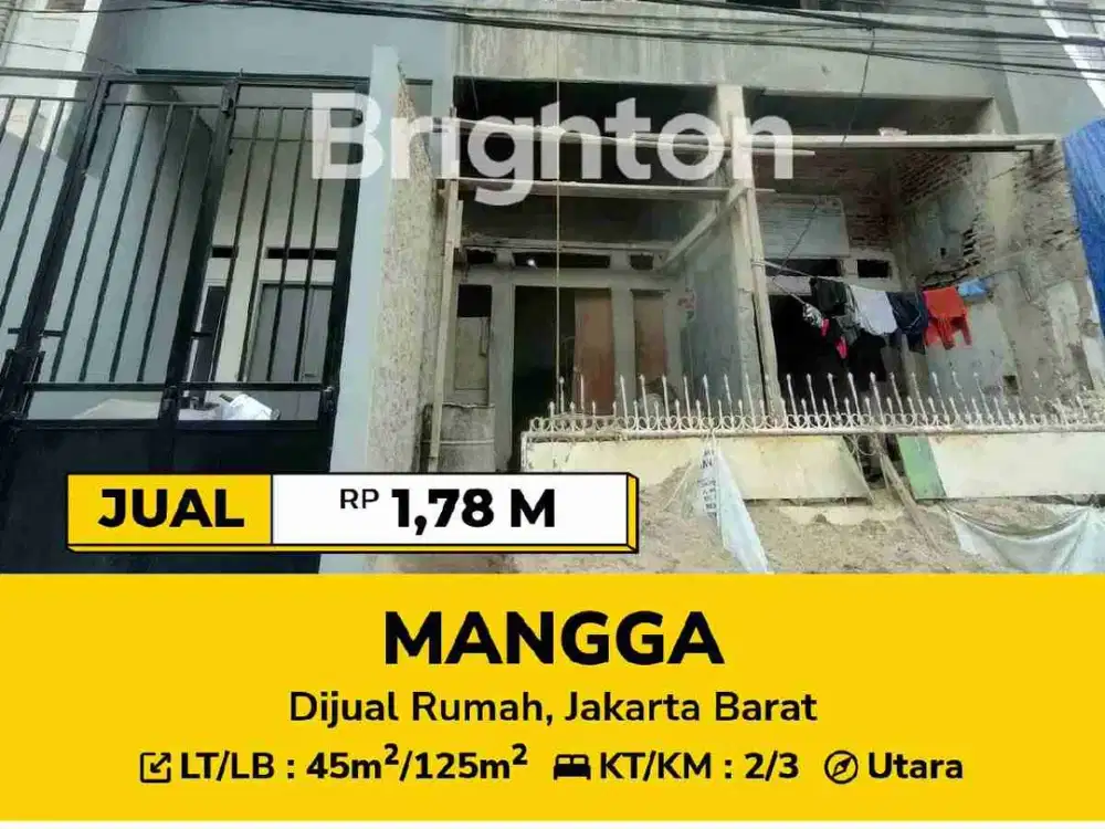RUMAH MANGGA 3. 65 lantai