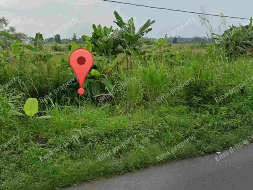 Dijual tanah commercial area Dadap Kuning Cerme Gresik