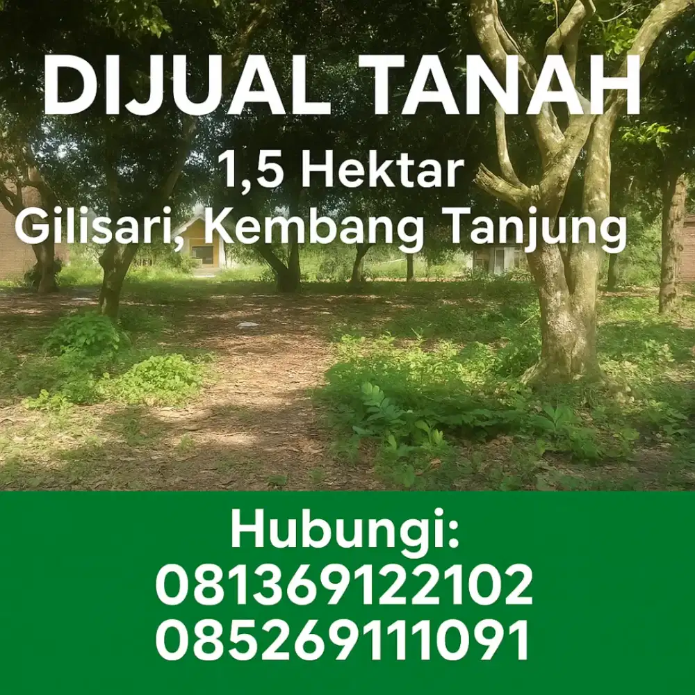 Di jual tanah di kembang tanjung ada pohon karet dan lahan kosong