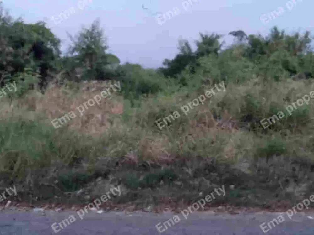 Termurah ! Dijual tanah kav di jalan utama perum. Griyo Mapan