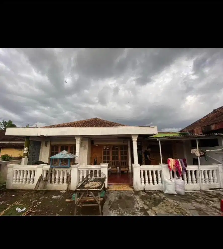 Dijual rumah & sarang walet