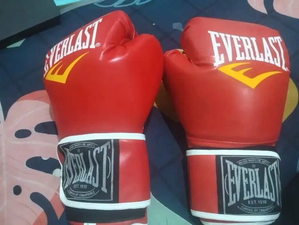 Alat olahraga Boxing Everlast