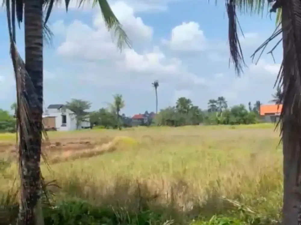 Leasehold Tanah di Lodtunduh Ubud