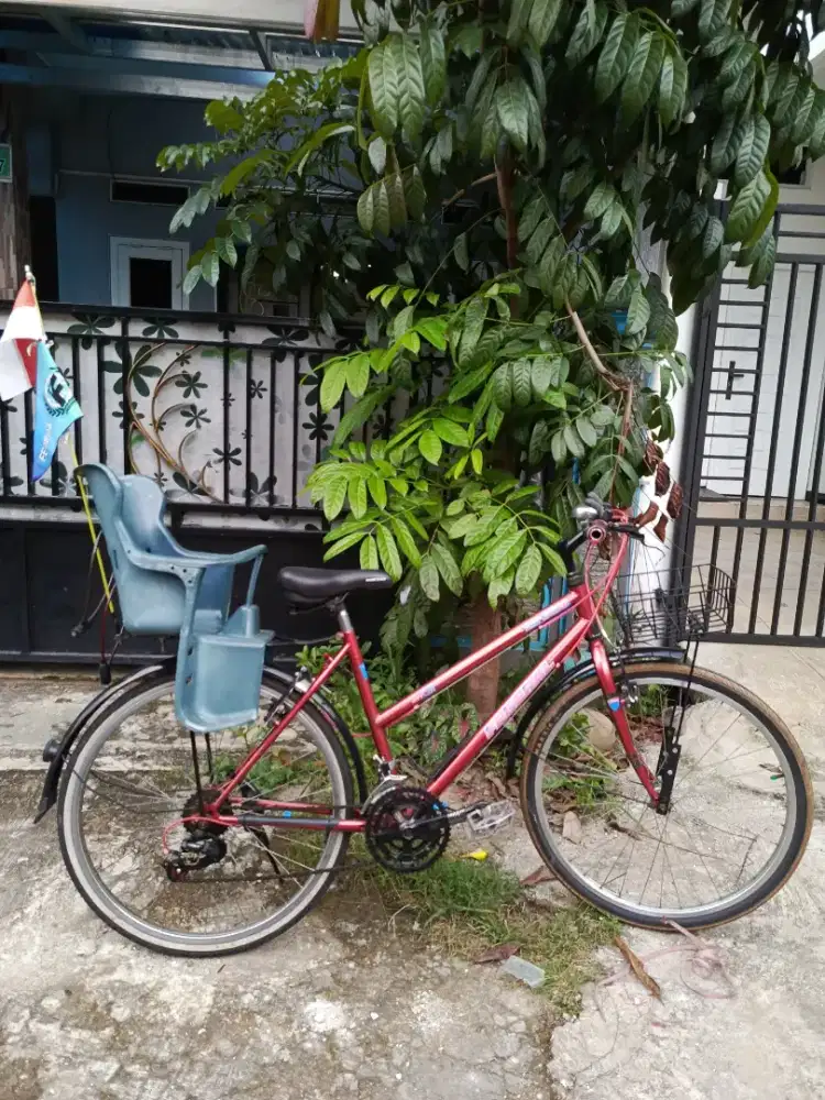 Jual Murah Sepeda Federal Original Lengkap