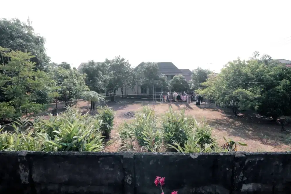 Rumah Asri dengan tanah yang luas di Palembang, cocok untuk keluarga.