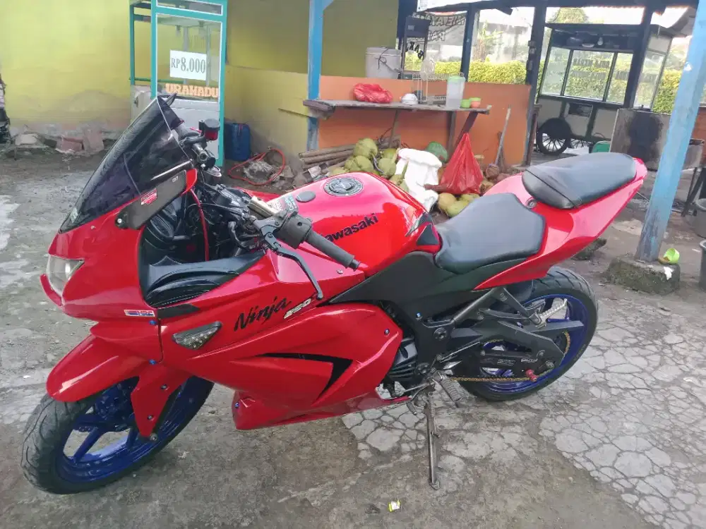 Ninja karbu 2009