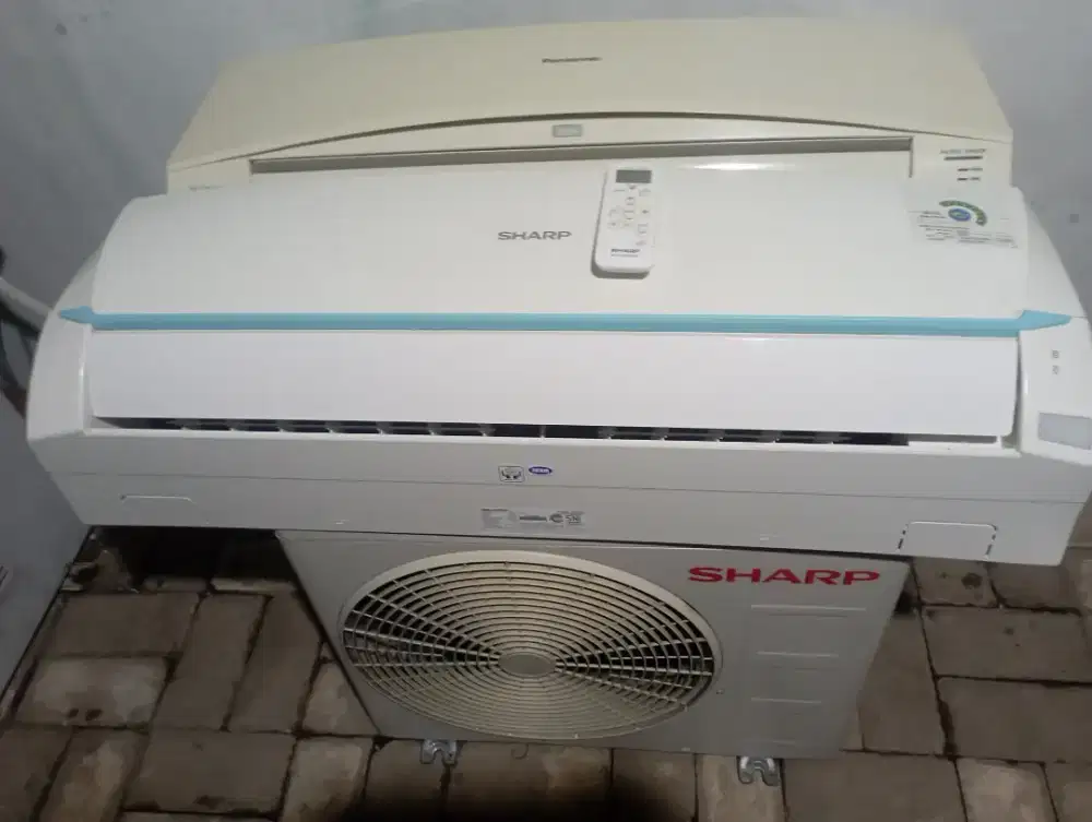 Ac sharp thailand 1/2 pk