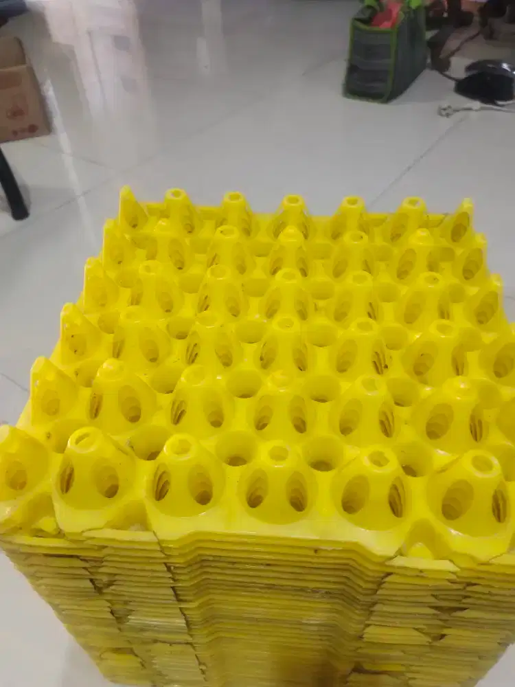 tray plastik ukuran besar