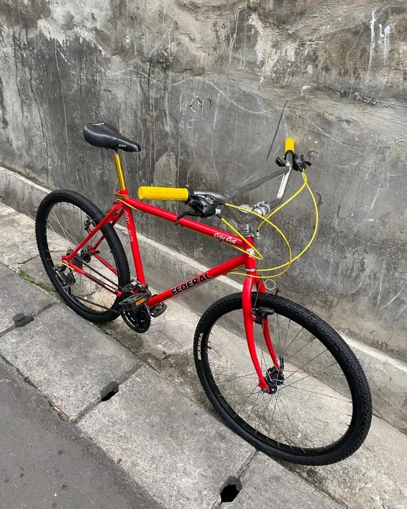 commuter bike federal city cat mg40