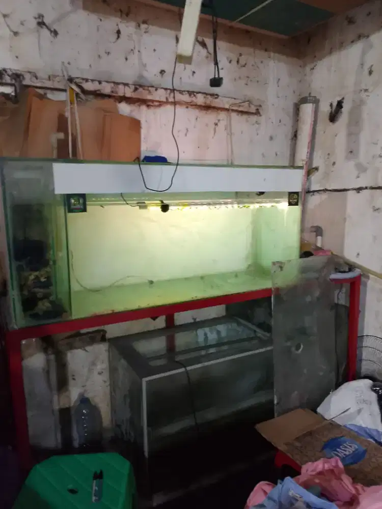 Aquarium fullset,, atas bawah + Rak.