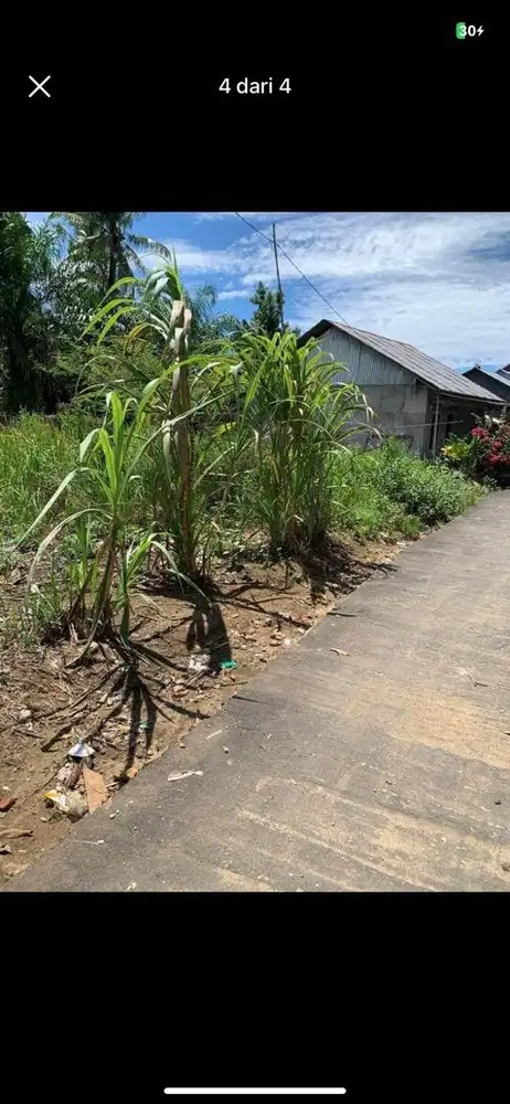 TANAH 300 m2 2 kavling