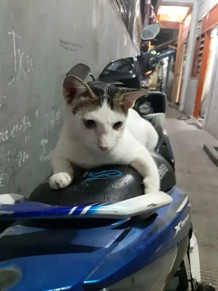 CARI KERJAAN YG HALAL DAN GAJI HARIAN