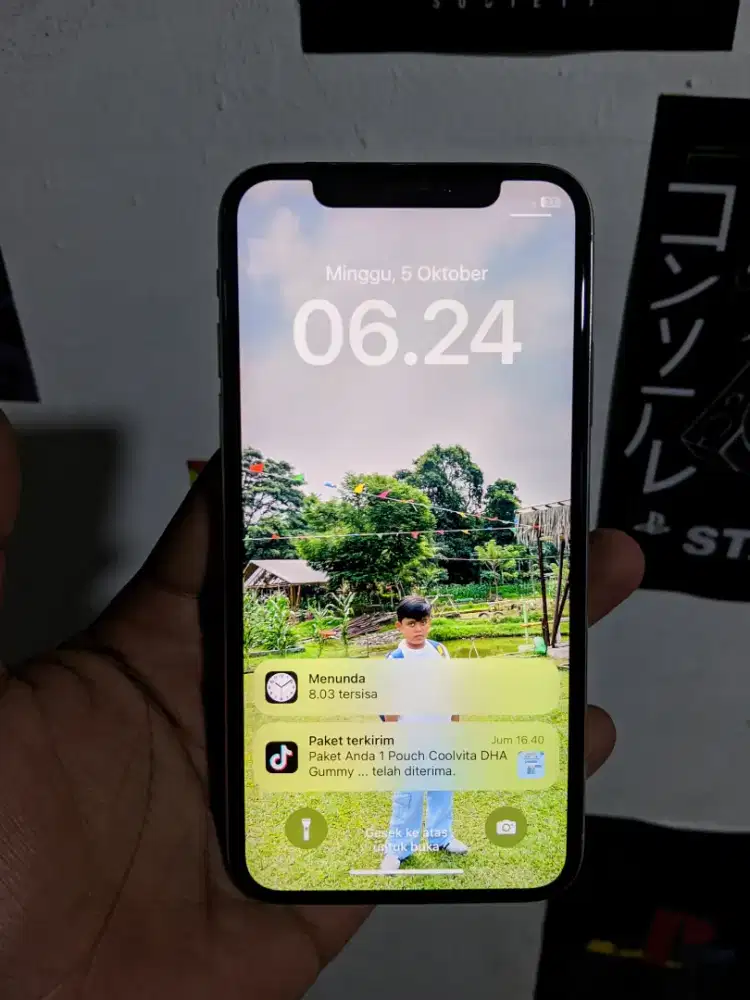 iPhone X 256GB inter fullset
