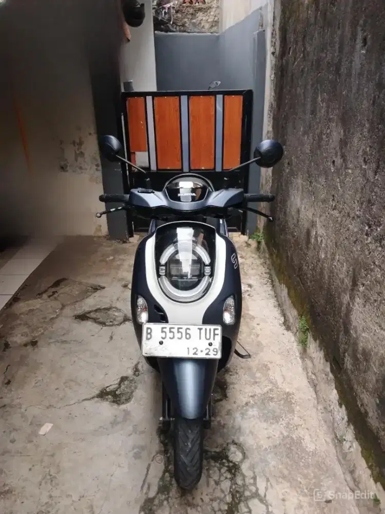 honda scoopy 2024