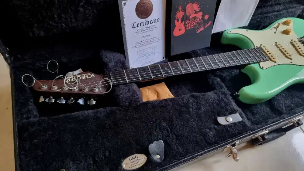 Schecter signature nick johnston usa